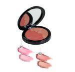 blusher powder no. 01